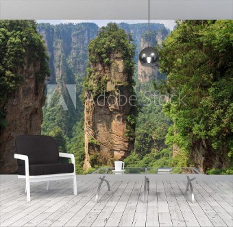 Picture of Scene of rock mountain in Zhangjiajie National Forest ParkHunan